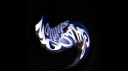 Shadow Studio [FECHADO] Discord Server Banner