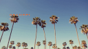 The Rookie Discord Server Banner