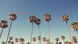 The Rookie Discord Server Banner