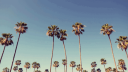 The Rookie Discord Server Banner