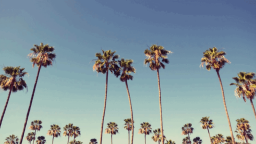 The Rookie Discord Server Banner