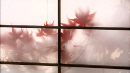 #5 Discord Server Banner