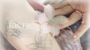 🌷𓂃　 faerie　⊹　 decor ．social ．icons Discord Server Banner