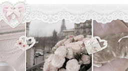 ˗ˏˋ   ⌗ 𝘚ꪖ𝘬ꪊ𝘳ꪖ 🪷  ֹ   ₊ ꒱ Discord Server Banner