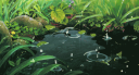 Croco’s Apartment Discord Server Banner
