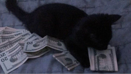 blis Discord Server Banner