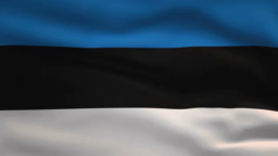 Estonia Discord Server Banner
