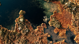 Estonia Discord Server Banner