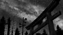 crave Discord Server Banner