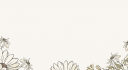 GaG / Fisch Paradise Discord Server Banner