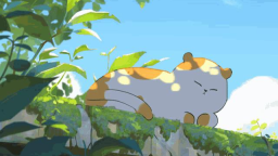 🧭 Discord Server Banner
