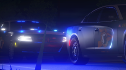 Florida State Roleplay I Professional I VC Only Discord Server Banner