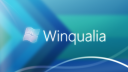 Winqualia Discord Server Banner