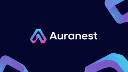 Copyright © by Auranest Discord Server Banner