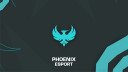TEAM  Phoenix Discord Server Banner