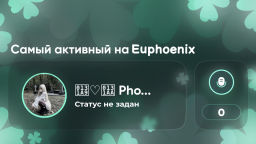 𓆩 Discord Server Banner