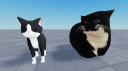 The Sillies Discord Server Banner