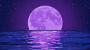 Moonlight Encounters Discord Server Banner