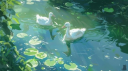 /fair Discord Server Banner