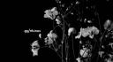 @ekinox #hangout Discord Server Banner