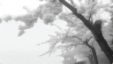 /uzhi Discord Server Banner