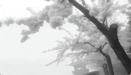 /uzhi Discord Server Banner