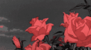 ✗  Knight'𝚜Empire  #সাম্রাজ্য Discord Server Banner