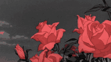 ✗ Knight'𝚜Empire #সাম্রাজ্য Discord Server Banner