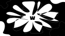 Wondx Discord Server Banner