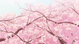 Sakura Discord Server Banner