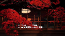 @pallette   .   ✿  .   rt300 Discord Server Banner