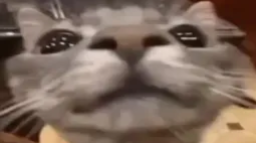 Slap Battles World Records Discord Server Banner