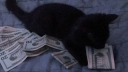 ︵ ᩧYvng silent 沉默 Discord Server Banner