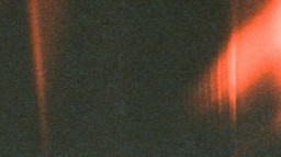 Chandol Central Discord Server Banner