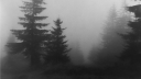 𝘴𝘺𝘭 𝘴𝘰𝘤𝘪𝘦𝘵𝘺 ✧ Discord Server Banner