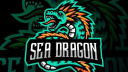 🐉 𝗦𝗘𝗔 𝗗𝗥𝗔𝗚𝗢𝗡 🐉 Discord Server Banner