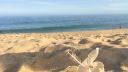 ┄  ⁺ 🥭 Discord Server Banner