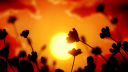 TEA Discord Server Banner