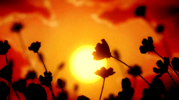 TEA Discord Server Banner