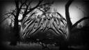 zyo.lol Discord Server Banner