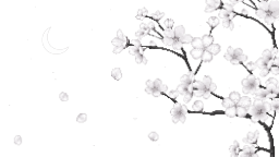 ݁ ༷ ⏾ ˖ Discord Server Banner