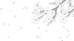 ݂ ۪⏾ ໋ ݂ Discord Server Banner