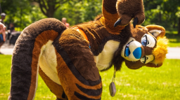 Fursuit Butts Discord Server Banner