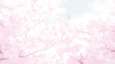 Sugoi 𝜗𝜚 Discord Server Banner