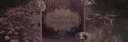 ꒰ Discord Server Banner