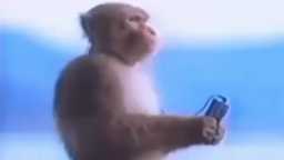 Monkey's Army 🐵 Discord Server Banner