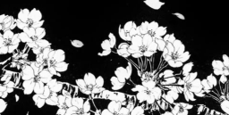 Nicoโs Shack Discord Server Banner