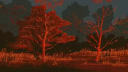 DUCKGANG - Community Discord Server Banner