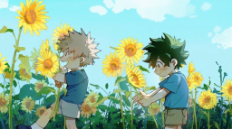 𑣲₊ ノкαтѕυкι × Discord Server Banner