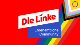 Die Linke │ Community Discord Server Banner